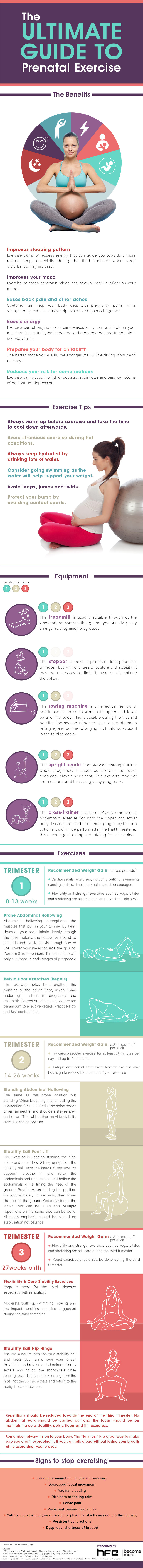 HFE_Prenatal_Exercises_Infographic